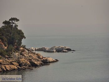 Alyki Thassos | Griekenland | Foto 32 - Foto van https://www.grieksegids.nl/fotos/eilandthassos/thassos-griekenland/350px/thassos-179.jpg