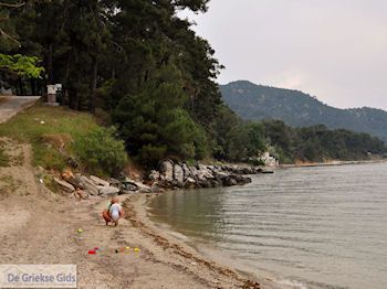 Papalimani Thassos | Griekenland | Foto 2 - Foto van https://www.grieksegids.nl/fotos/eilandthassos/thassos-griekenland/350px/thassos-187.jpg