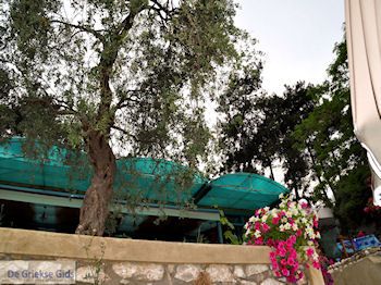 Papalimani Thassos | Griekenland | Foto 3 - Foto van https://www.grieksegids.nl/fotos/eilandthassos/thassos-griekenland/350px/thassos-188.jpg