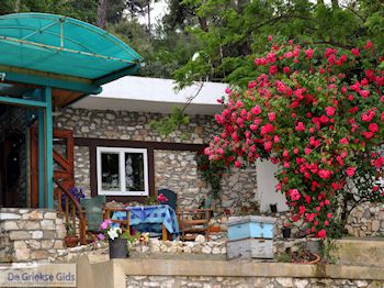 Papalimani Thassos | Griekenland | Foto 6 - Foto van https://www.grieksegids.nl/fotos/eilandthassos/thassos-griekenland/350px/thassos-191.jpg