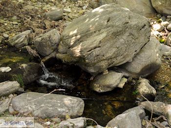 Van Skala Maries naar Maries | Thassos | Foto 6 - Foto van https://www.grieksegids.nl/fotos/eilandthassos/thassos-griekenland/350px/thassos-197.jpg