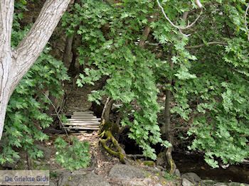 Van Skala Maries naar Maries | Thassos | Foto 8 - Foto van https://www.grieksegids.nl/fotos/eilandthassos/thassos-griekenland/350px/thassos-199.jpg