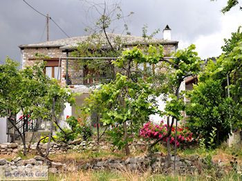 Theologos Thassos | Griekenland | Foto 3 - Foto van https://www.grieksegids.nl/fotos/eilandthassos/thassos-griekenland/350px/thassos-243.jpg