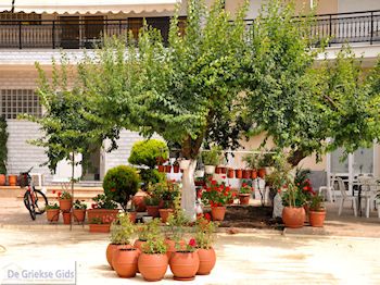 Limenas  - Thassos stad |Griekenland | Foto 1 - Foto van https://www.grieksegids.nl/fotos/eilandthassos/thassos-griekenland/350px/thassos-256.jpg