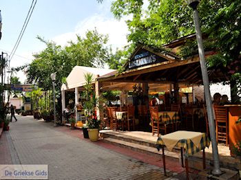 Potos Thassos | Griekenland | Foto 5 - Foto van https://www.grieksegids.nl/fotos/eilandthassos/thassos-griekenland/350px/thassos-312.jpg