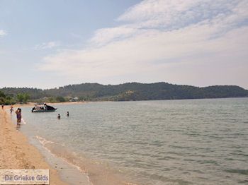 Potos Thassos | Griekenland | Foto 10 - Foto van https://www.grieksegids.nl/fotos/eilandthassos/thassos-griekenland/350px/thassos-317.jpg