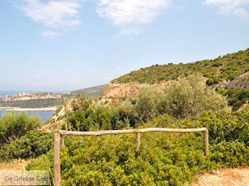 Van Potos naar Skala Maries | Thassos | Foto 7 - Foto van https://www.grieksegids.nl/fotos/eilandthassos/thassos-griekenland/350px/thassos-329.jpg