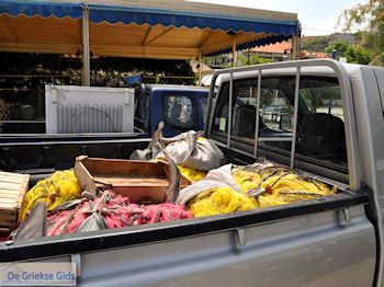 Skala Maries | Thassos | Foto 7 - Foto van https://www.grieksegids.nl/fotos/eilandthassos/thassos-griekenland/350px/thassos-341.jpg