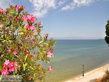 Skala Sotiros | Thassos | Foto 7 - Foto van https://www.grieksegids.nl/fotos/eilandthassos/thassos-griekenland/350px/thassos-370.jpg