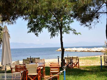 Prinos en Skala Prinos | Thassos | Foto 8 - Foto van https://www.grieksegids.nl/fotos/eilandthassos/thassos-griekenland/350px/thassos-380.jpg