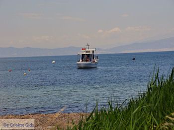 Prinos en Skala Prinos | Thassos | Foto 24 - Foto van https://www.grieksegids.nl/fotos/eilandthassos/thassos-griekenland/350px/thassos-396.jpg