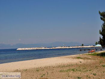Skala Rachonis | Thassos | Foto 5 - Foto van https://www.grieksegids.nl/fotos/eilandthassos/thassos-griekenland/350px/thassos-402.jpg