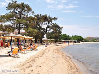 Skala Rachonis | Thassos | Foto 10 - Foto van https://www.grieksegids.nl/fotos/eilandthassos/thassos-griekenland/350px/thassos-407.jpg