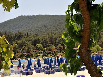 Makryammos - Strand bij Limenas (Thassos stad) | Foto 3 - Foto van https://www.grieksegids.nl/fotos/eilandthassos/thassos-griekenland/350px/thassos-415.jpg