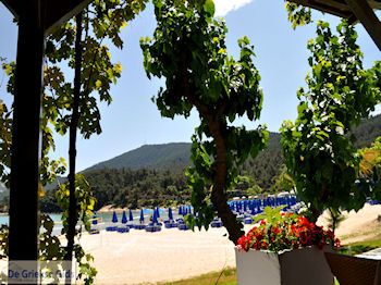 Makryammos - Strand bij Limenas (Thassos stad) | Foto 4 - Foto van https://www.grieksegids.nl/fotos/eilandthassos/thassos-griekenland/350px/thassos-416.jpg