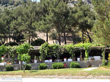 Makryammos - Strand bij Limenas (Thassos stad) | Foto 14 - Foto van https://www.grieksegids.nl/fotos/eilandthassos/thassos-griekenland/350px/thassos-426.jpg