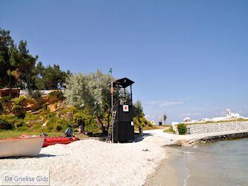 Makryammos - Strand bij Limenas (Thassos stad) | Foto 15 - Foto van https://www.grieksegids.nl/fotos/eilandthassos/thassos-griekenland/350px/thassos-427.jpg