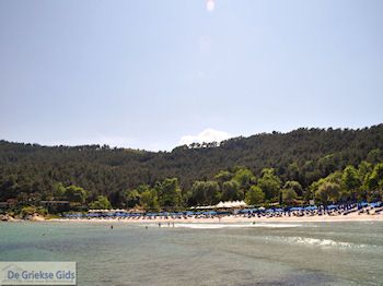 Makryammos - Strand bij Limenas (Thassos stad) | Foto 21 - Foto van https://www.grieksegids.nl/fotos/eilandthassos/thassos-griekenland/350px/thassos-433.jpg
