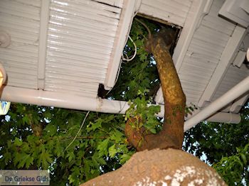 Thassos stad (Limenas) | Thassos | Foto 14 - Foto van https://www.grieksegids.nl/fotos/eilandthassos/thassos-griekenland/350px/thassos-453.jpg