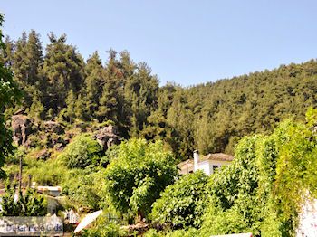 Panagia | Thassos | Foto 2 - Foto van https://www.grieksegids.nl/fotos/eilandthassos/thassos-griekenland/350px/thassos-461.jpg