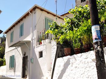 Panagia | Thassos | Foto 21 - Foto van https://www.grieksegids.nl/fotos/eilandthassos/thassos-griekenland/350px/thassos-480.jpg