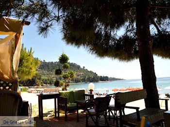 Golden Beach - Skala Panagia - Chrissi Ammoudia | Thassos | Foto 9 - Foto van https://www.grieksegids.nl/fotos/eilandthassos/thassos-griekenland/350px/thassos-484.jpg