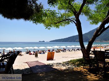 Golden Beach - Skala Panagia - Chrissi Ammoudia | Thassos | Foto 10 - Foto van https://www.grieksegids.nl/fotos/eilandthassos/thassos-griekenland/350px/thassos-485.jpg