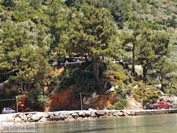 Golden Beach - Skala Panagia - Chrissi Ammoudia | Thassos | Foto 15 - Foto van https://www.grieksegids.nl/fotos/eilandthassos/thassos-griekenland/350px/thassos-490.jpg