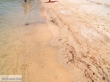 Golden Beach - Skala Panagia - Chrissi Ammoudia | Thassos | Foto 21 - Foto van https://www.grieksegids.nl/fotos/eilandthassos/thassos-griekenland/350px/thassos-496.jpg
