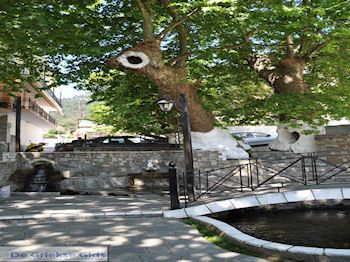 Panagia | Thassos | Foto 26 - Foto van https://www.grieksegids.nl/fotos/eilandthassos/thassos-griekenland/350px/thassos-514.jpg