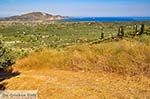 Uitzicht op Laganas-baai Zakynthos | De Griekse Gids nr 3 - Foto van De Griekse Gids