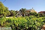 Alykanas Zakynthos | Griekenland 3 - Foto van De Griekse Gids