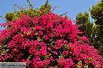 Keri Zakynthos | Griekenland nr 10 - Foto van De Griekse Gids