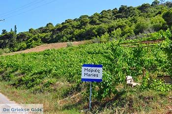 Maries Zakynthos | Griekenland nr1 - Foto van https://www.grieksegids.nl/fotos/eilandzakynthos/zakynthos/350px/fotos-zakynthos-055.jpg