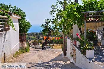 Maries Zakynthos | Griekenland nr3 - Foto van https://www.grieksegids.nl/fotos/eilandzakynthos/zakynthos/350px/fotos-zakynthos-057.jpg