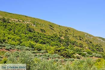 Koiliomenos (Kiliomenos) Zakynthos | De Griekse Gids nr13 - Foto van https://www.grieksegids.nl/fotos/eilandzakynthos/zakynthos/350px/fotos-zakynthos-078.jpg