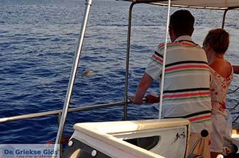 Caretta Caretta Noordkust Zakynthos | Griekenland nr 3 - Foto van https://www.grieksegids.nl/fotos/eilandzakynthos/zakynthos/350px/fotos-zakynthos-193.jpg