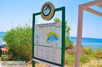 Kalamaki Zakynthos | Griekenland nr 1 - Foto van https://www.grieksegids.nl/fotos/eilandzakynthos/zakynthos/350px/fotos-zakynthos-432.jpg