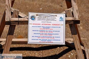 Kalamaki Zakynthos | Griekenland nr 4 - Foto van https://www.grieksegids.nl/fotos/eilandzakynthos/zakynthos/350px/fotos-zakynthos-435.jpg