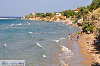 Psarou Beach Zakynthos | Griekenland nr 5 - Foto van https://www.grieksegids.nl/fotos/eilandzakynthos/zakynthos/350px/fotos-zakynthos-463.jpg
