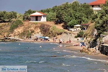 Psarou Beach Zakynthos | Griekenland nr 6 - Foto van https://www.grieksegids.nl/fotos/eilandzakynthos/zakynthos/350px/fotos-zakynthos-464.jpg