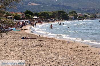 Alykes Zakynthos | Griekenland 4 - Foto van https://www.grieksegids.nl/fotos/eilandzakynthos/zakynthos/350px/fotos-zakynthos-477.jpg