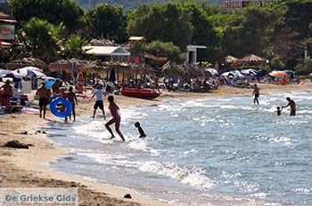 Alykes Zakynthos | Griekenland 5 - Foto van https://www.grieksegids.nl/fotos/eilandzakynthos/zakynthos/350px/fotos-zakynthos-478.jpg