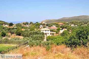 Keri Zakynthos | Griekenland nr 1 - Foto van https://www.grieksegids.nl/fotos/eilandzakynthos/zakynthos/350px/fotos-zakynthos-506.jpg