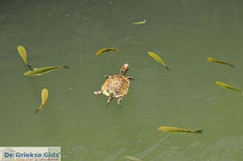 Limni Keri Zakynthos | Griekenland nr 9 - Foto van https://www.grieksegids.nl/fotos/eilandzakynthos/zakynthos/350px/fotos-zakynthos-527.jpg