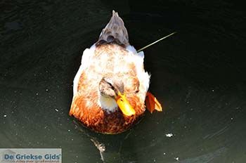 Limni Keri Zakynthos | Griekenland nr 10 - Foto van https://www.grieksegids.nl/fotos/eilandzakynthos/zakynthos/350px/fotos-zakynthos-528.jpg