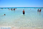 GriechenlandWeb Elafonisi Chania Kreta - Foto GriechenlandWeb.de