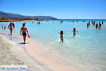 GriechenlandWeb Elafonisi Chania Kreta - Foto GriechenlandWeb.de