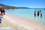 GriechenlandWeb.de Elafonisi Chania Kreta - Foto GriechenlandWeb.de