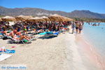 GriechenlandWeb Elafonisi Chania Kreta - Foto GriechenlandWeb.de